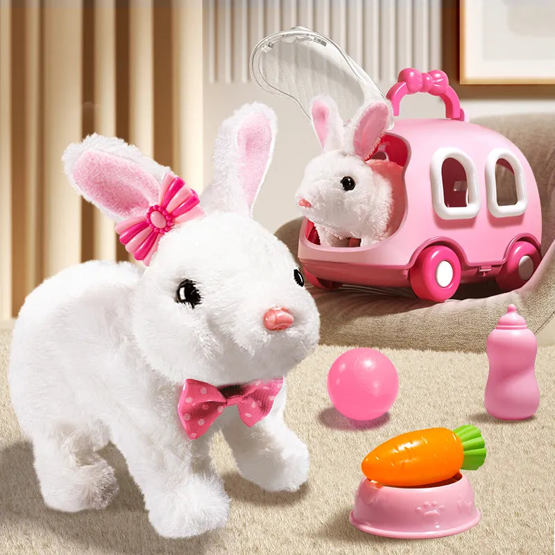lapin electrique