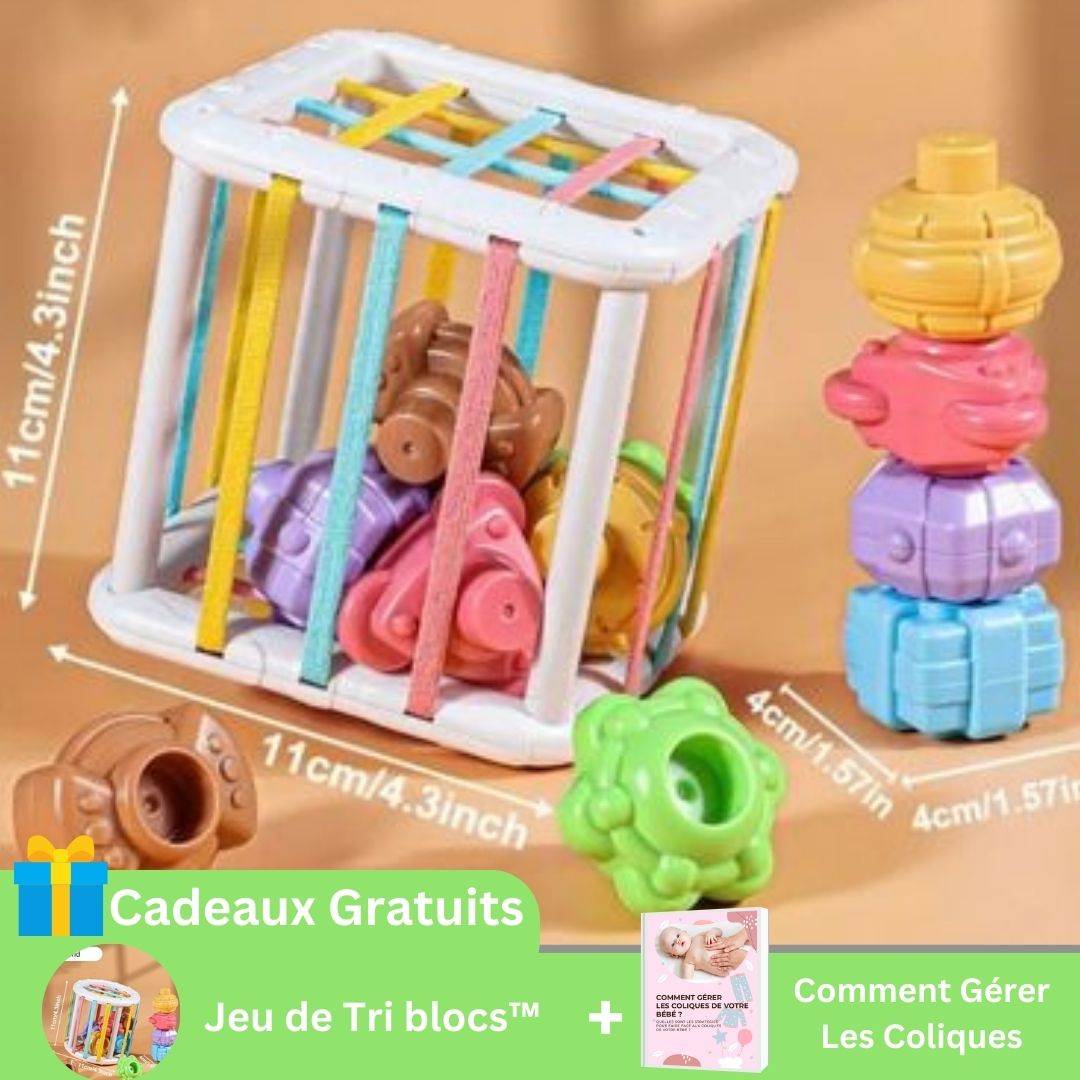 Jeu de tri Blocs Montessori | BlocsSortingGame™ - Mon Bébé Royal