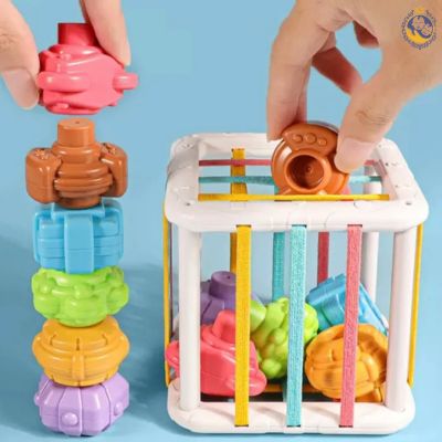Blocs de jouets Montessori 